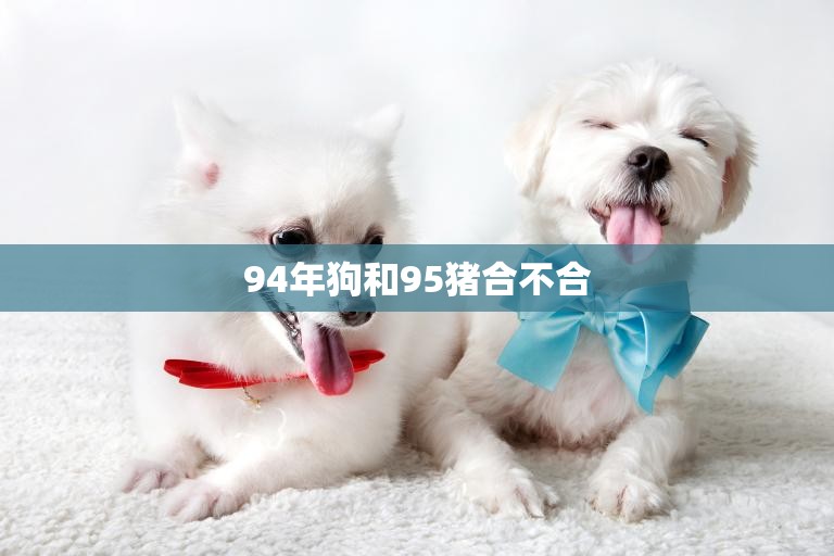 94年狗和95猪合不合(谁更适合你)