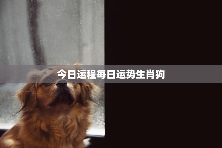 今日运程每日运势生肖狗(幸运之星今天照耀你)
