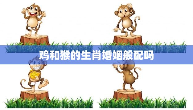 鸡和猴的生肖婚姻般配吗(解析婚姻是否适合)