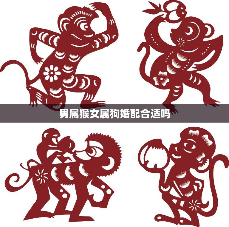 男属猴女属狗婚配合适吗(探究星座是否影响婚姻幸福)