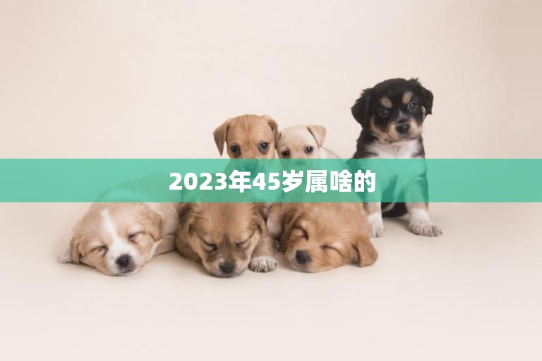 2023年45岁属啥的(你属什么45岁的你该如何面对未来)