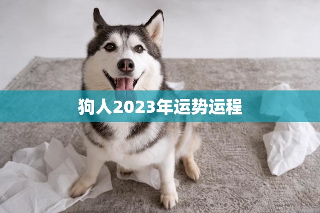 狗人2023年运势运程(狗年大展宏图财运亨通事业顺利)