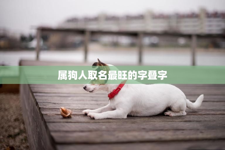 属狗人取名最旺的字叠字(如何选择)