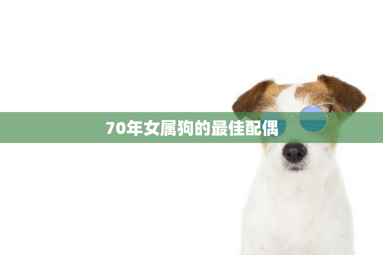 70年女属狗的最佳配偶(如何选择)