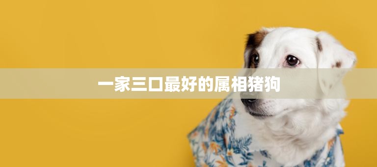 一家三口最好的属相猪狗(如何选择)