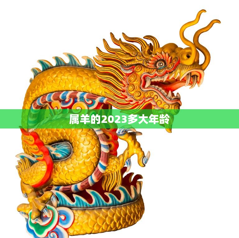 属羊的2023多大年龄(猪年过后羊年将至你知道自己的年龄吗)