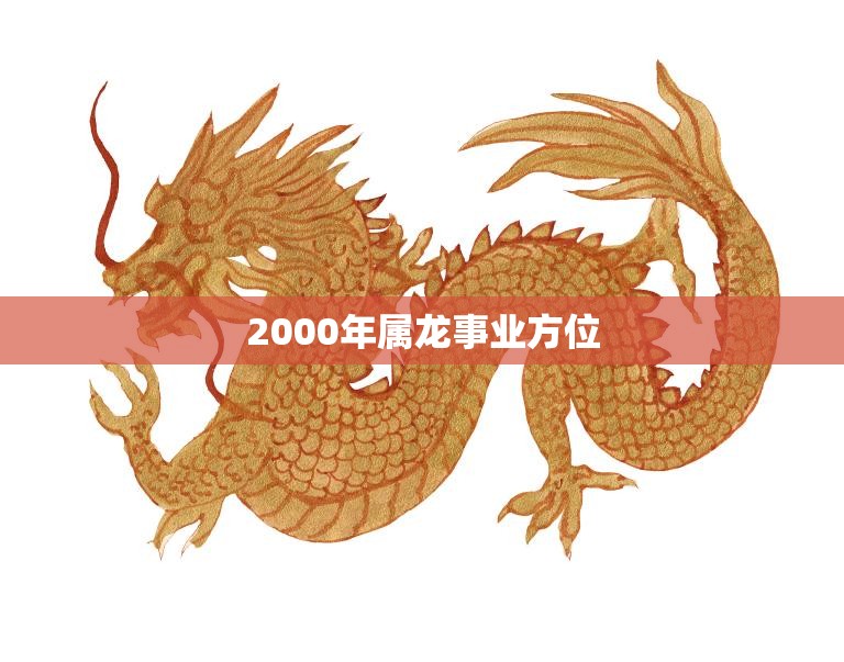 2000年属龙事业方位(如何开创职场新局)