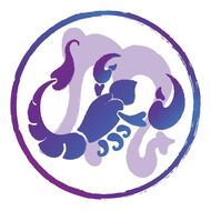 天蝎女的20个性格特点(揭秘神秘、独立、占有欲强)