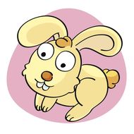 1987年属兔是什么火(解析属相与五行的奥秘)