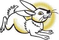 99年属兔男最佳婚配女(星座大揭秘最佳配对星座是TA)