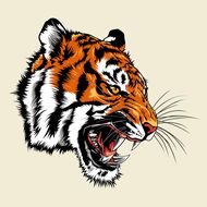 男属狗女属虎婚姻相配吗(解析星座配对的秘密)