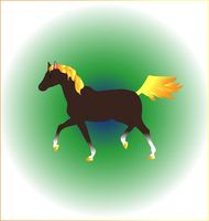 1990年属马婚姻命运(如何避免婚姻危机)