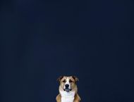 2023年45岁属啥的(你属什么45岁的你该如何面对未来)