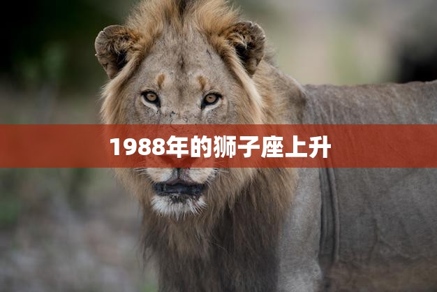 1988年的狮子座上升(探寻命运的星象之路)