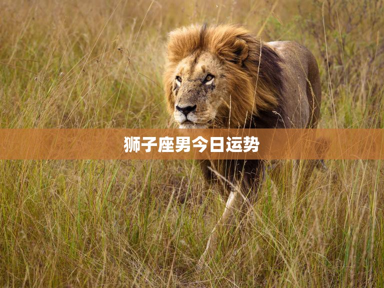 狮子座男今日运势(喜事临门财运亨通)