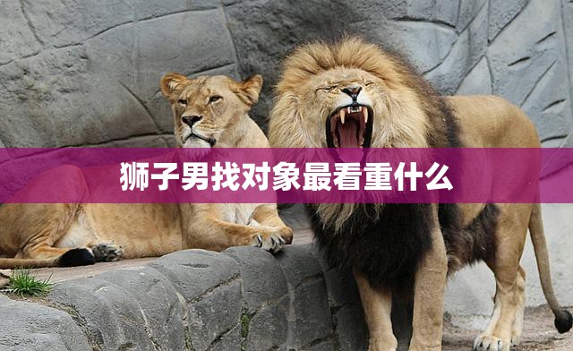狮子男找对象最看重什么(真诚、自信、独立)