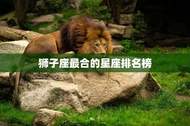 狮子座最合的星座排名榜(Top5与狮子座最配的星座)