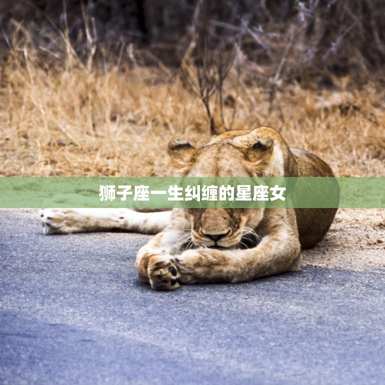 狮子座一生纠缠的星座女(谁是她的真命)