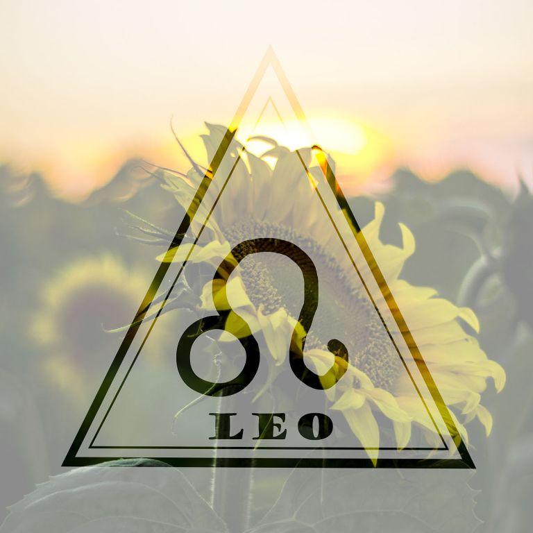 狮子座斗不过的三大星座(谁是真正的王者)