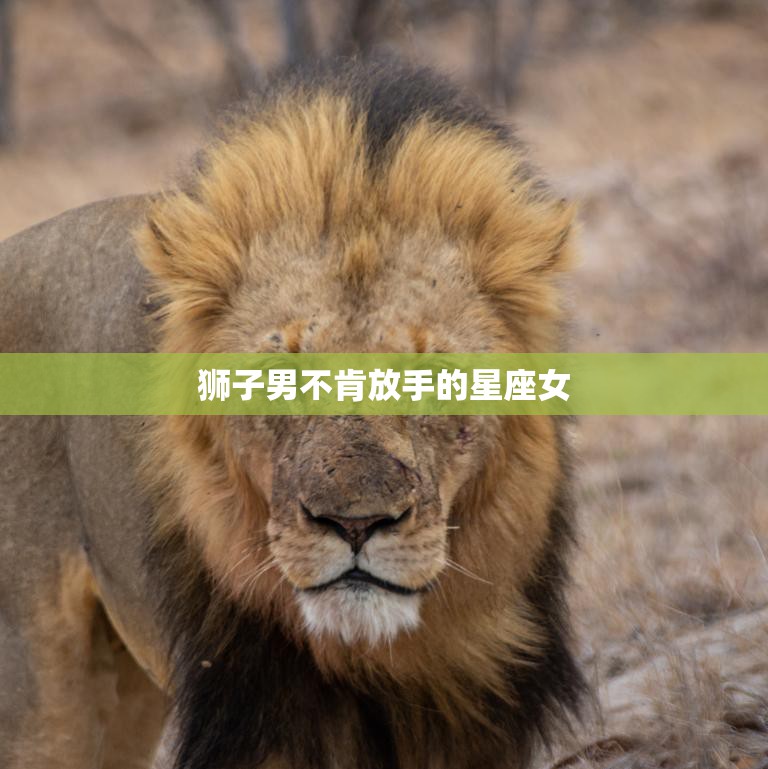 狮子男不肯放手的星座女(如何)