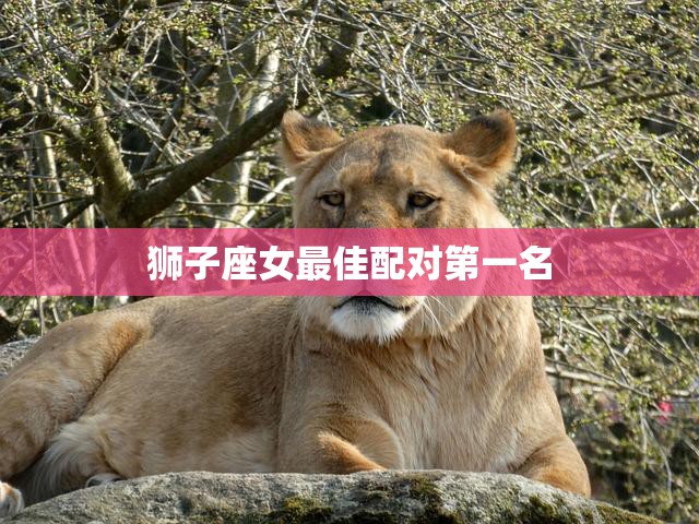狮子座女最佳配对第一名(完美匹配天秤座男)