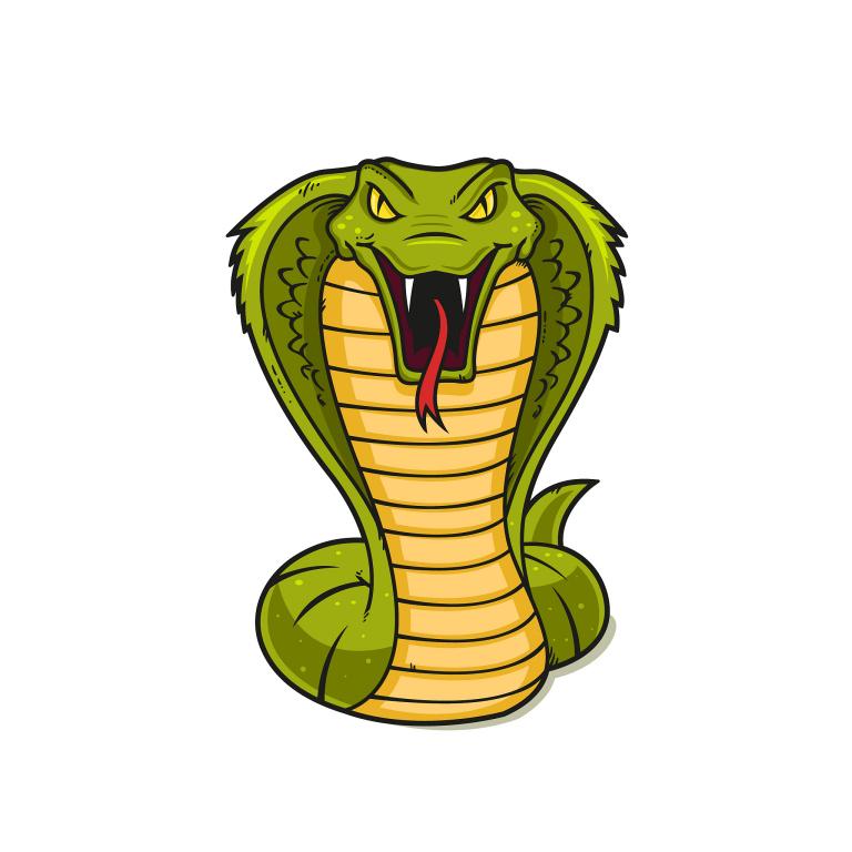 属蛇的人一生有几次婚姻(解析多婚还是一夫一妻)