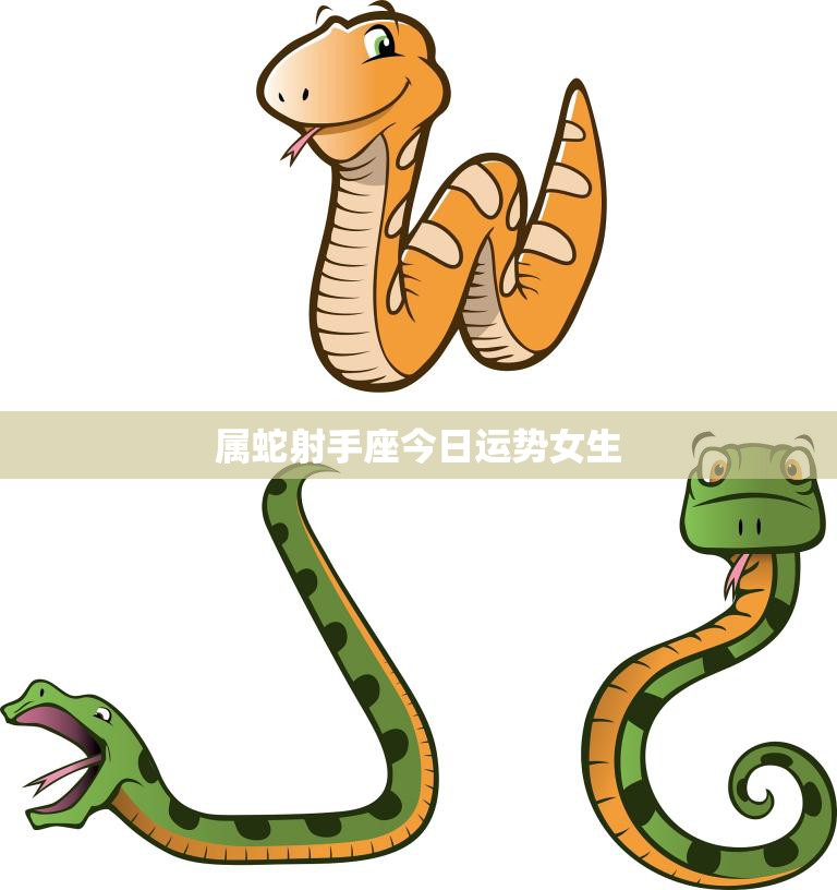 属蛇射手座今日运势女生(幸运星座好运连连)