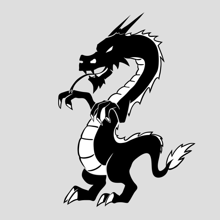 88年属龙的运势和财运(2023年如何)