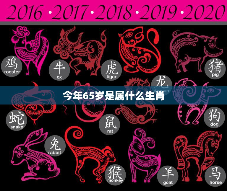 今年65岁是属什么生肖(如何预测生肖运势)