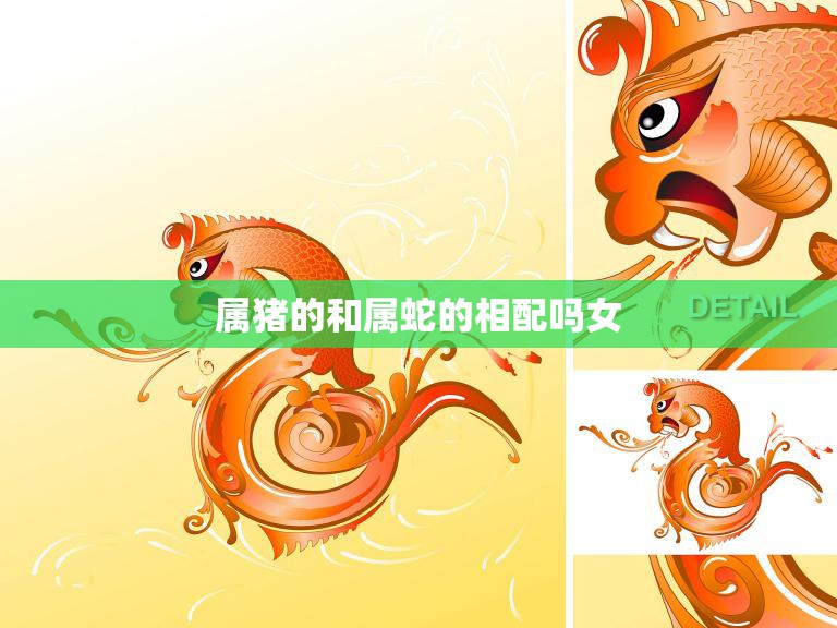 属猪的和属蛇的相配吗女(如何选择恋爱对象)