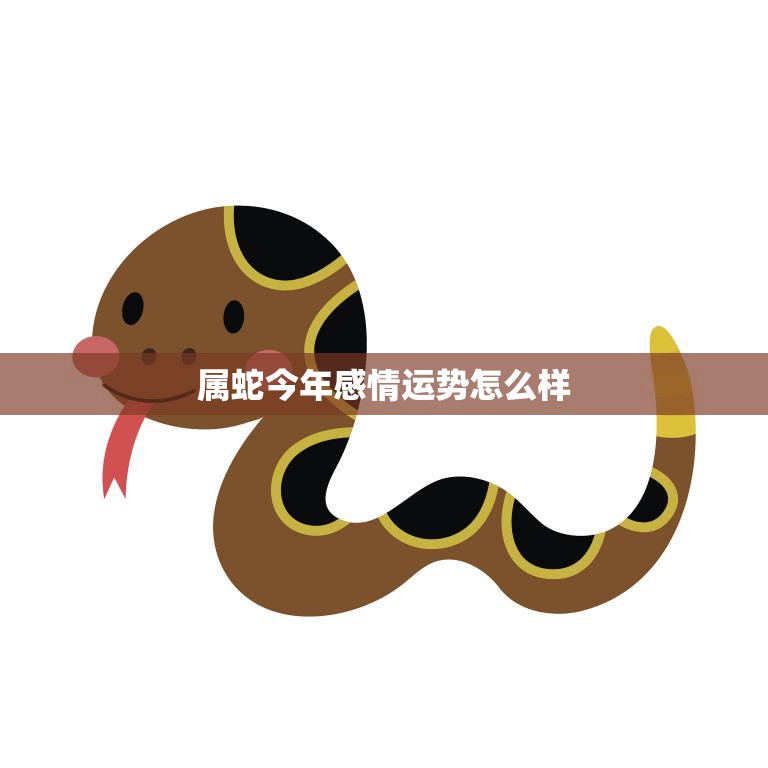 属蛇今年感情运势怎么样(2023年爱情运势大揭秘)