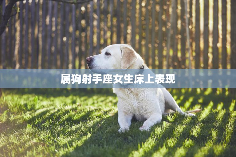 属狗射手座女生床上表现(性感火爆让你欲罢不能)