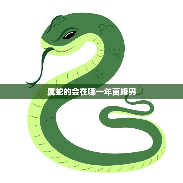 属蛇的会在哪一年离婚男(如何避免婚姻危机)
