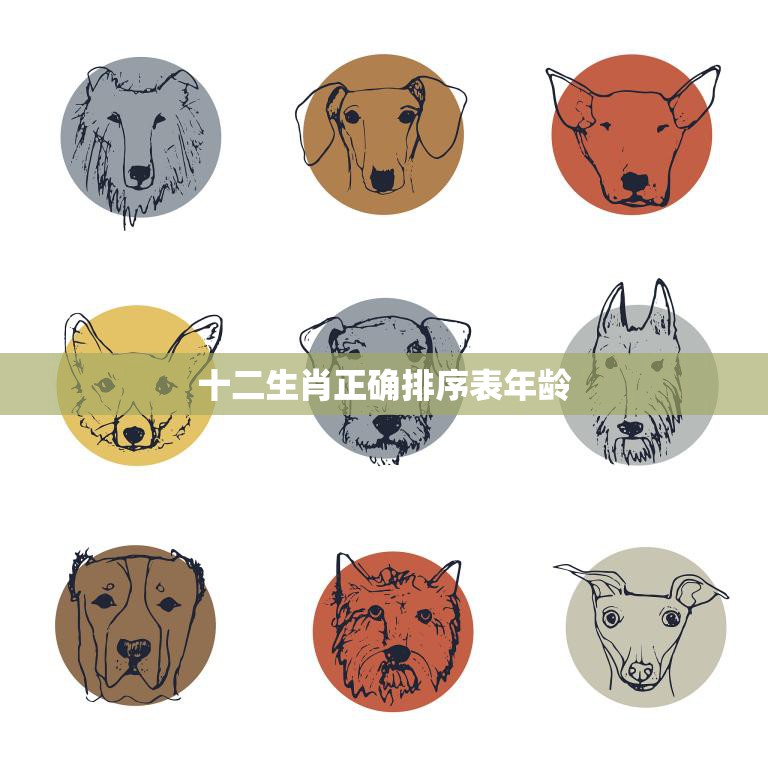 十二生肖正确排序表年龄(如何正确排列十二生肖的年龄)