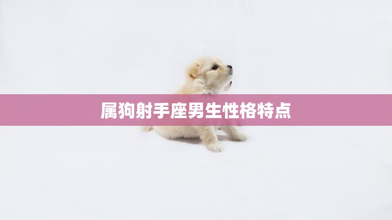 属狗射手座男生性格特点(自由奔放忠诚坚定)