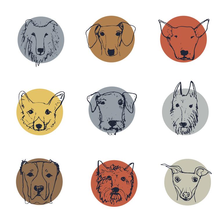 日历表2023日历属相(探寻2023年生肖预测运势)