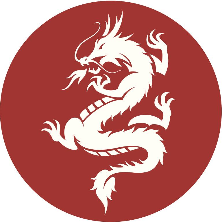 1988年龙做什么行业(回顾当年龙在哪个行业崭露头角)