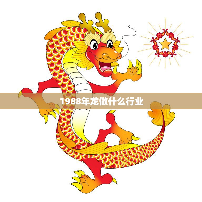 1988年龙做什么行业(回顾当年龙在哪个行业崭露头角)