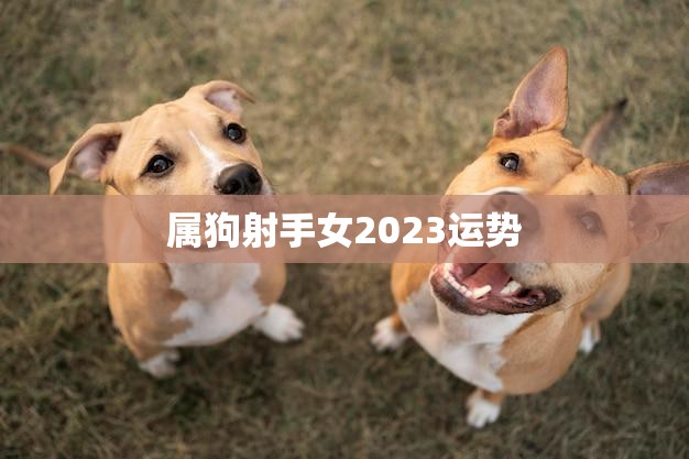 属狗射手女2023运势(狗年大展宏图财运亨通事业上升势头强劲)