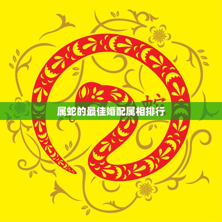 属蛇的最佳婚配属相排行(找到最佳的配偶)