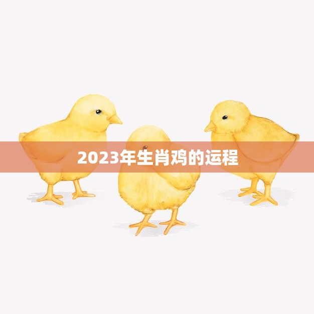 2023年生肖鸡的运程(顺风顺水财运亨通)