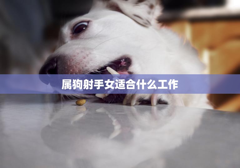 属狗射手女适合什么工作(职场发展指南)