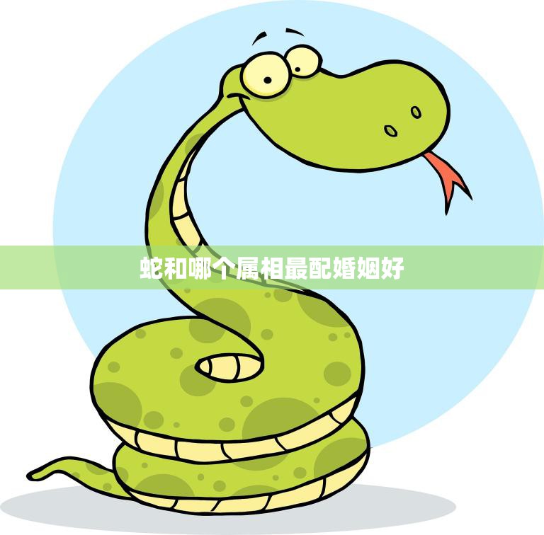 蛇和哪个属相最配婚姻好(寻找最佳配偶)
