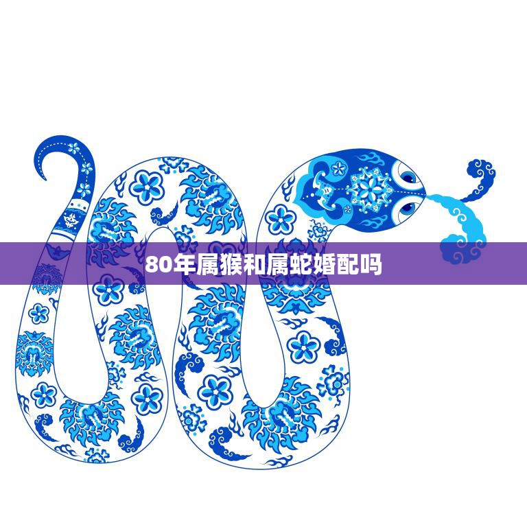 80年属猴和属蛇婚配吗(星座专家揭秘这样的组合会有哪些问题)