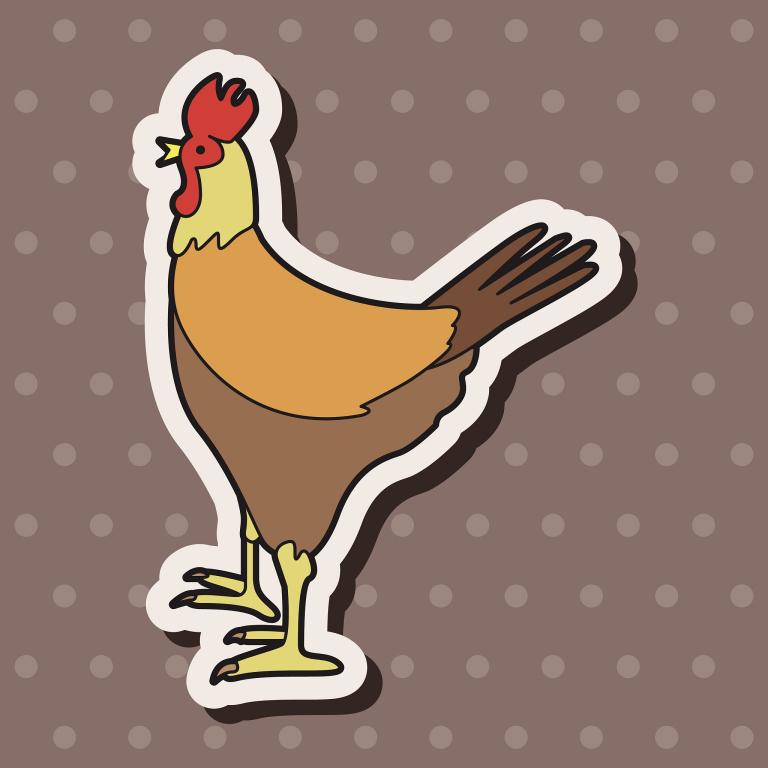 属鸡的女人对老公好不好(解析属人的婚姻观念)