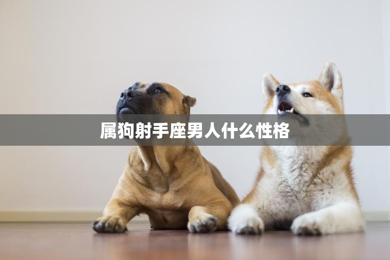 属狗射手座男人什么性格(探秘热情洋溢的自由者)