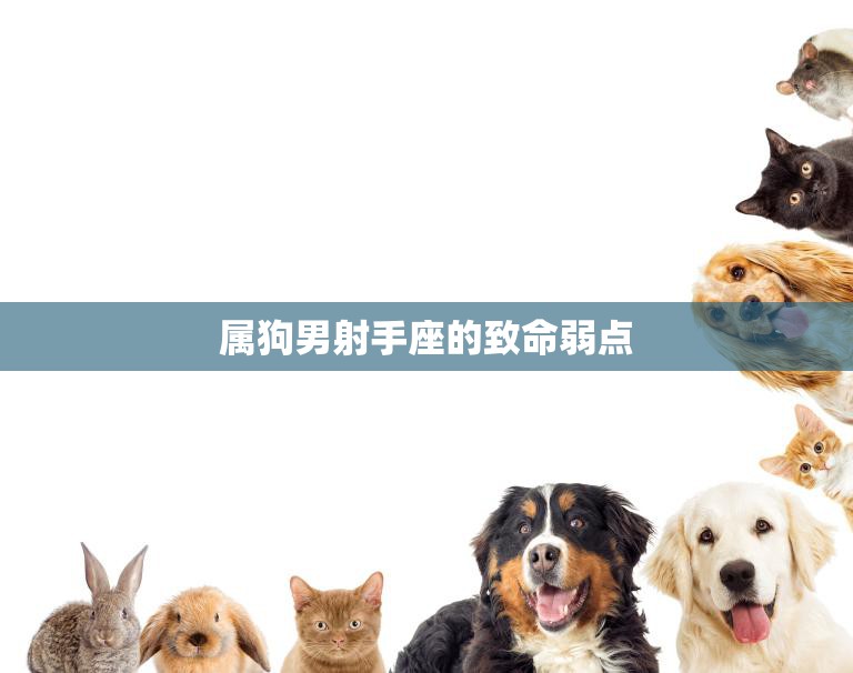 属狗男射手座的致命弱点(揭秘浪漫不足情感不稳定)