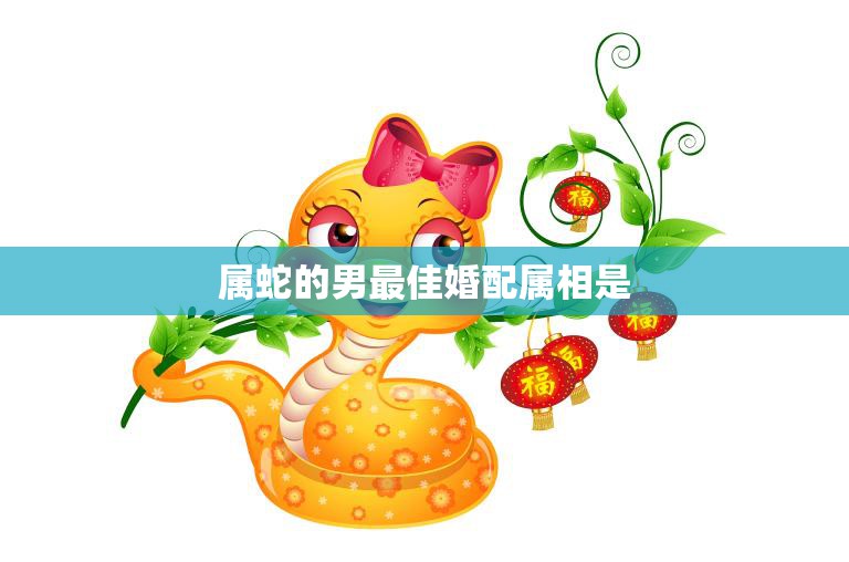 属蛇的男最佳婚配属相是(如何选择最合适的伴侣)