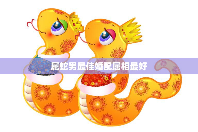 属蛇男最佳婚配属相最好(如何选择最适合的伴侣)