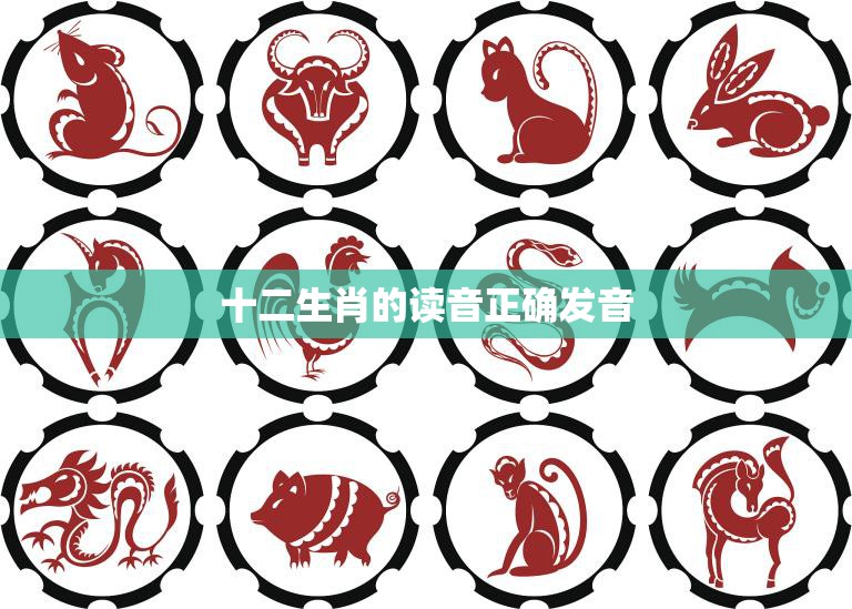 十二生肖的读音正确发音(如何准确念出十二生肖的名称)